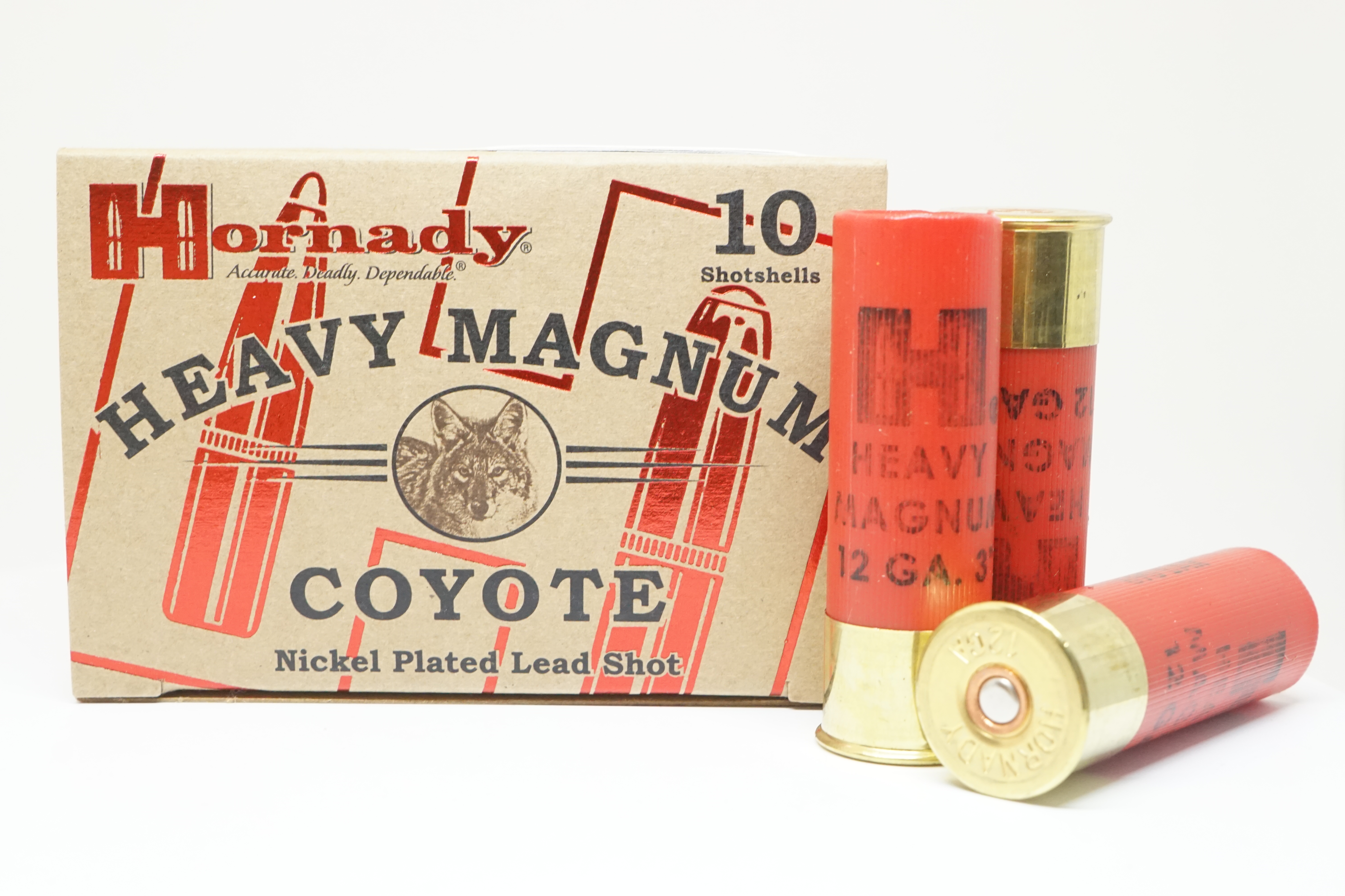 Hornady Coyote  Heavy Magnum 12/76  BB 4,6mm Nikl.